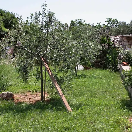 With A Parking Space Punat, Krk - 10421 Apartmán Punat